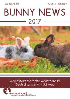 Bunny News 22 