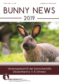 Bunny News 24 