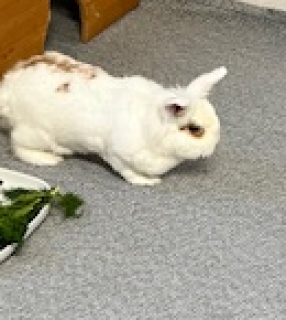 Cosima ist momentan noch nicht zu vermitteln